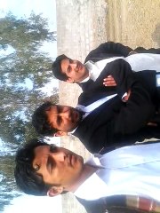 chiken fight  mardan mayar