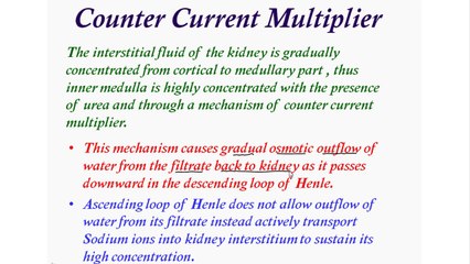 Concentration of Excretory Products and Counter Current Multiplier