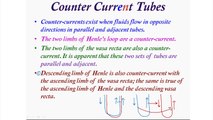 Counter Current Tubes /Exchanger