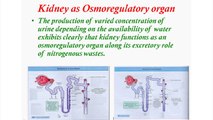 Kidney, Its Problems & Cures