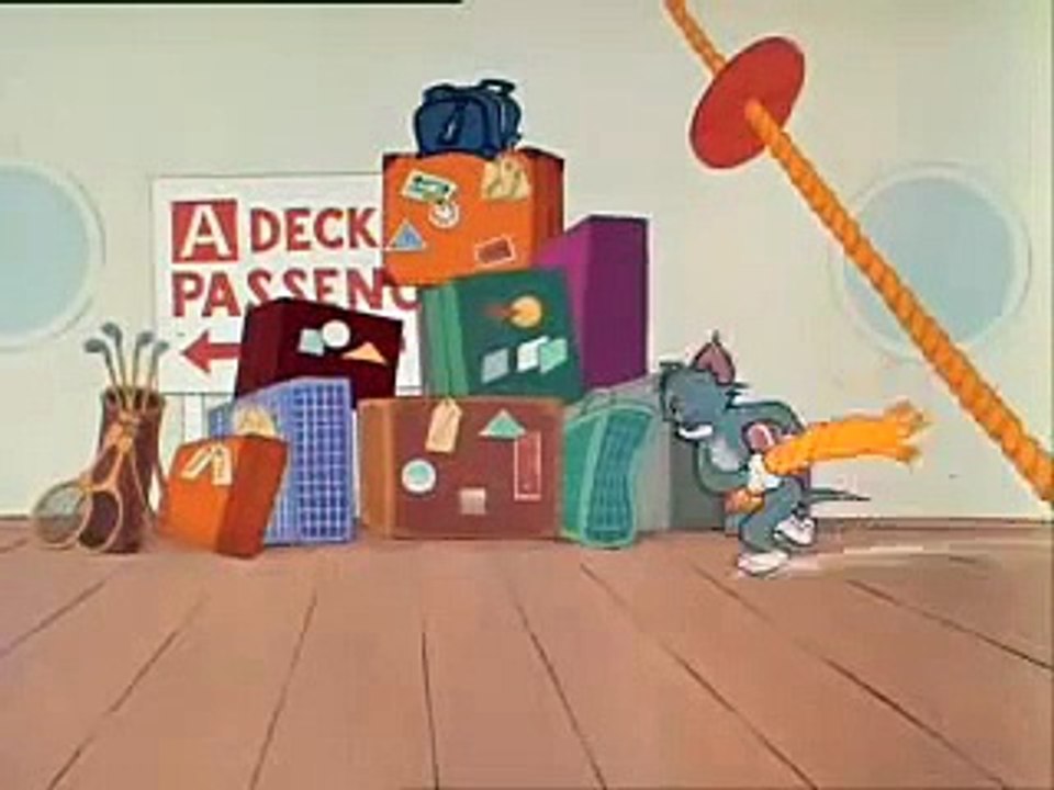 TOM&JERRY_CALYPSO CAT