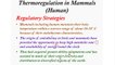 Thermoregulation In Mammals (human)