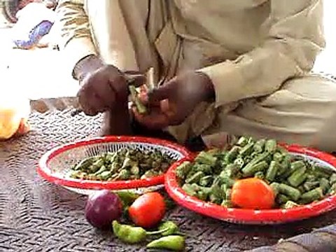 EH dairy farm 419jb (38) in construction