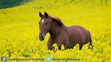 Ghazal about reality of life must listen