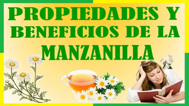 Propiedades y Beneficios Medicinales de la Manzanilla