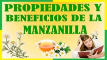 Propiedades y Beneficios Medicinales de la Manzanilla