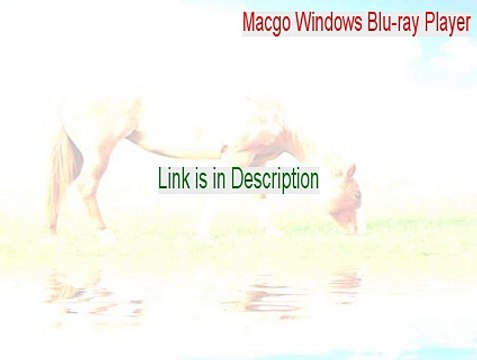Macgo Windows Blu-ray Player Cracked [macgo windows blu-ray player review 2015]