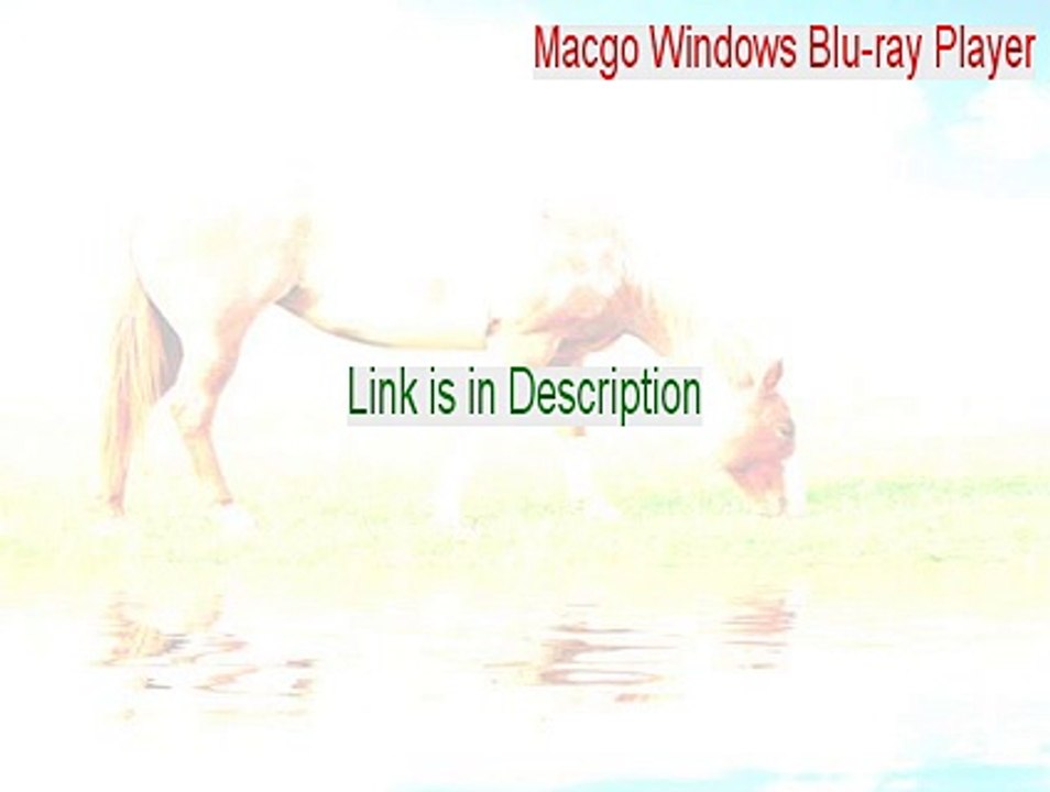 Macgo Windows Blu-ray Player Cracked [macgo windows blu-ray player review 2015]