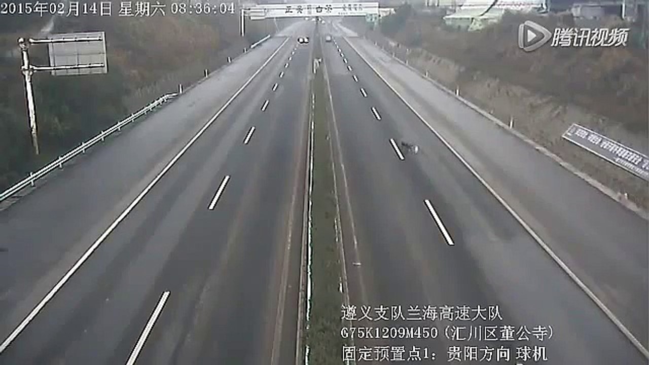 Dogs Loose on chinese highway