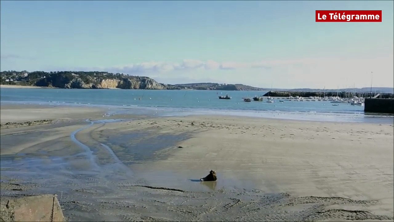 Crozon. Grandes marées : le port de Morgat s'est préparé