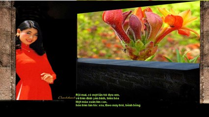 Mùa Xuân trên đỉnh bình yên - Tuấn Ngọc (PP)