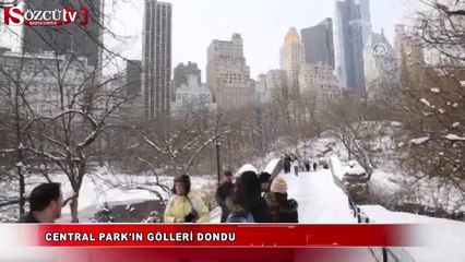 Central Park'ın gölleri dondu