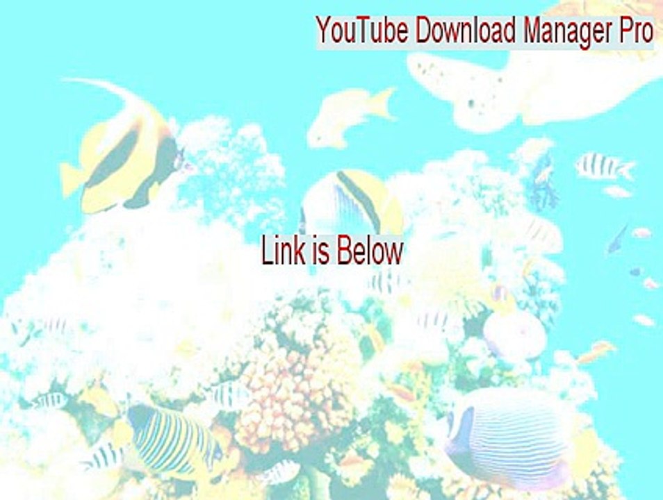 YouTube Download Manager Pro Download Free - Instant Download 2015