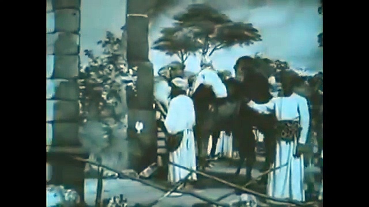 ▶ The Life and Passion of Jesus Christ (1903)