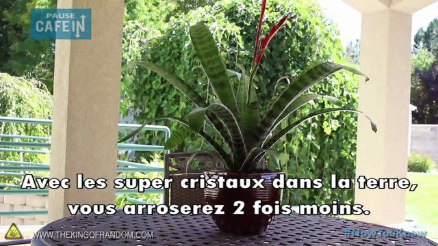 Utilisez des couches pour bébé afin obtenir une terre super absorbantes pour vos plantes