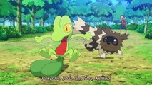 [Egakor] Pokémon Omega Ruby and Alpha Sapphire Promotional Movie (HD)