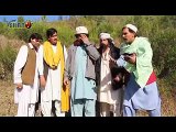 Pashto New Drama 2015 Zama Ashna Zama Qatil Part-3