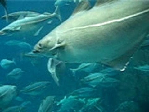 Pleins de choses dans mes toilettes!!