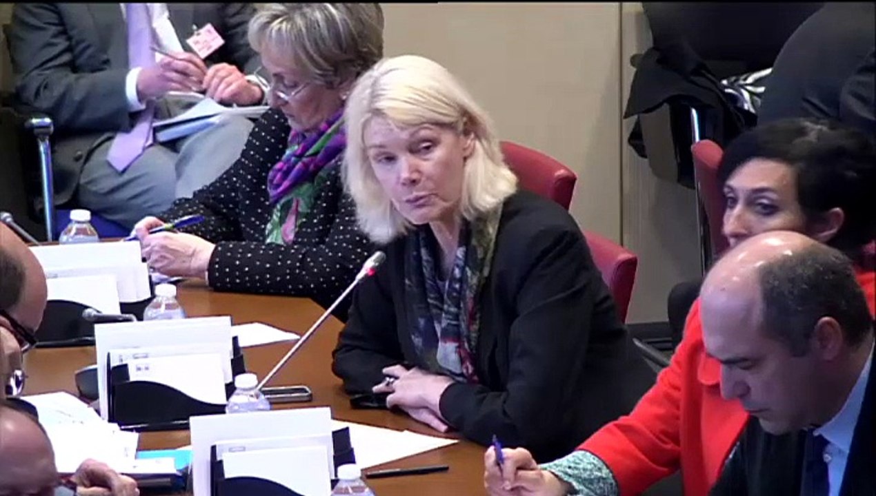 Intervention en Commission des Affaires sociales - Audition de S.Neuville (Handicap)
