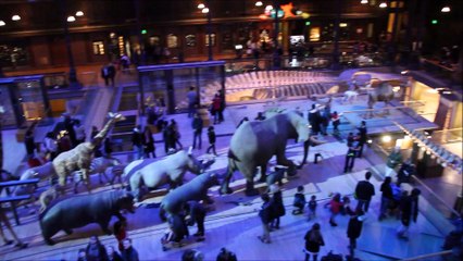 Parcours jeu Citizenkid :  La Nuit au Musée : Le Secret des Pharaons