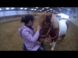 Les poneys qui murmurent à l'oreille de Sloane