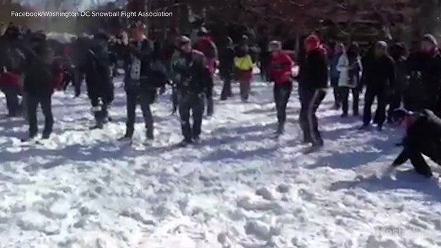 D.C. hosts epic snowball fight after storm shuts down offices