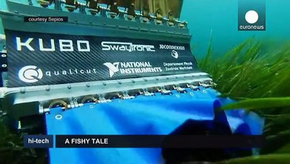 Un pez robot creado por los alumnos del Instituto Federal Suizo de Tecnología de Zúrich