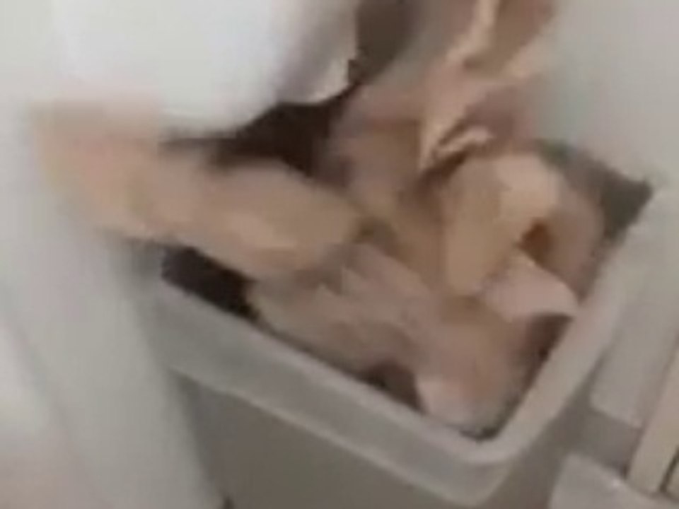 Introducing the Intriguing Trash Can Time Machine