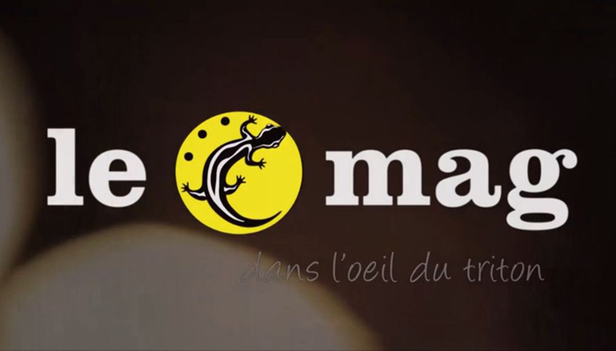 Le mag #1 - le Triton - Du 6 au 24 janvier 2015