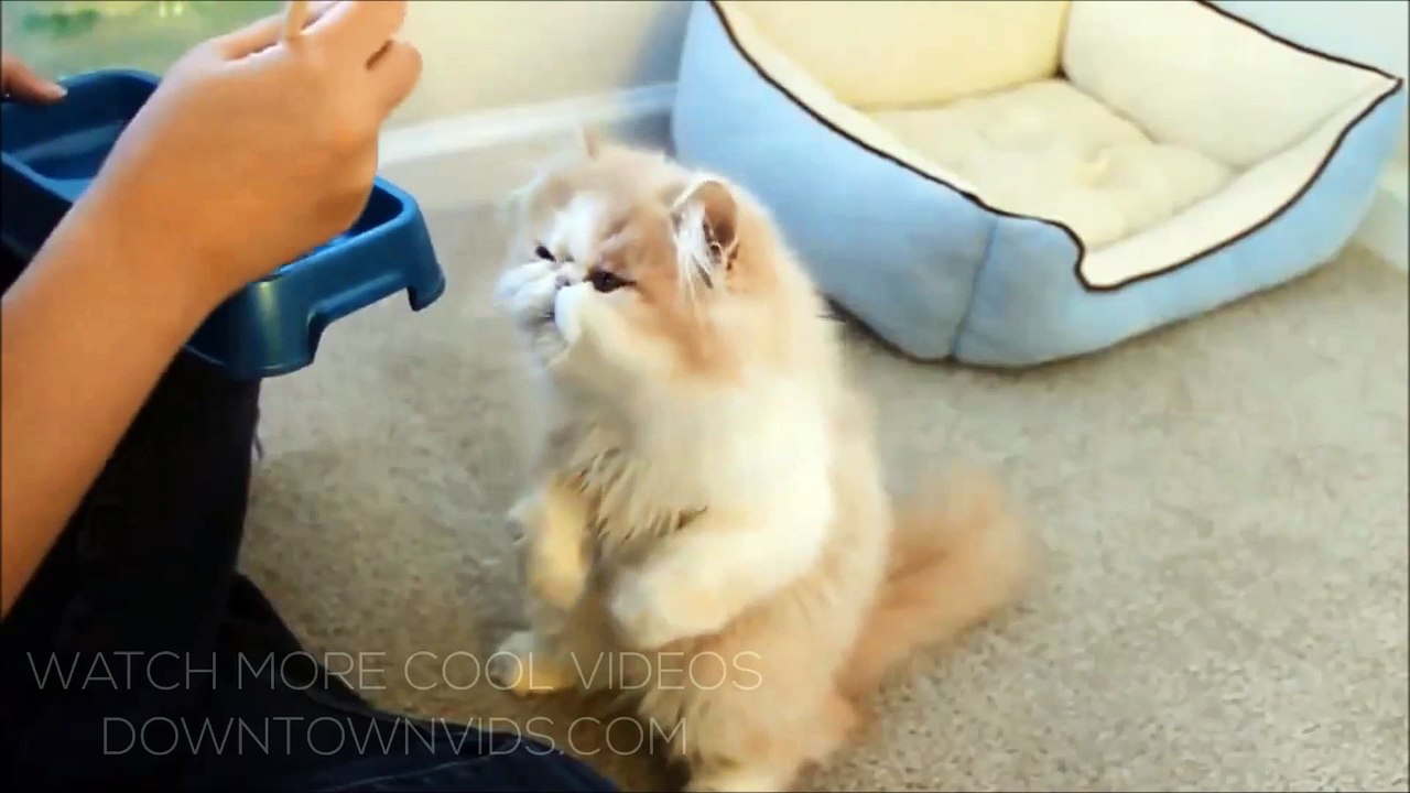 Soo Cute :))