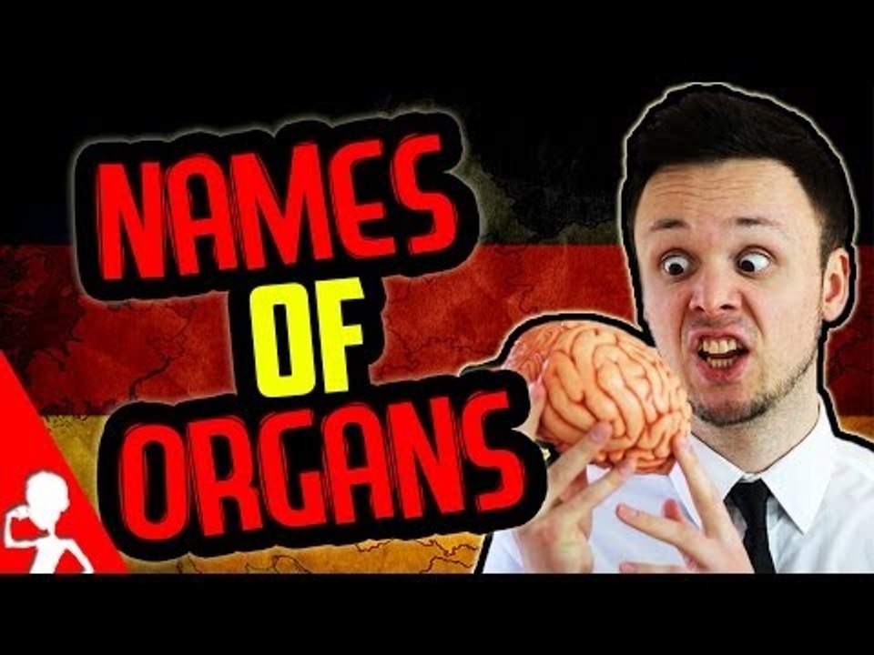 Names of Organs | Learn German for Beginners | Lesson 18