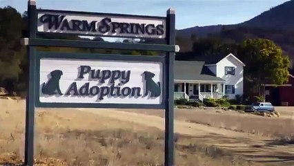 1 günde 12 milyon kez izlenen  Reklam filmi