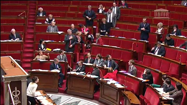 assis debout amendement Da Silva NOTRe