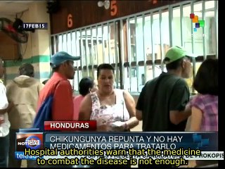 Honduras: chikungunya cases spike as medicine shortage worsens