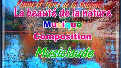 La beauté de la nature