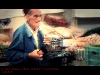 Dj Harlequin feat Project Blutengel - Arabia (Official Video)