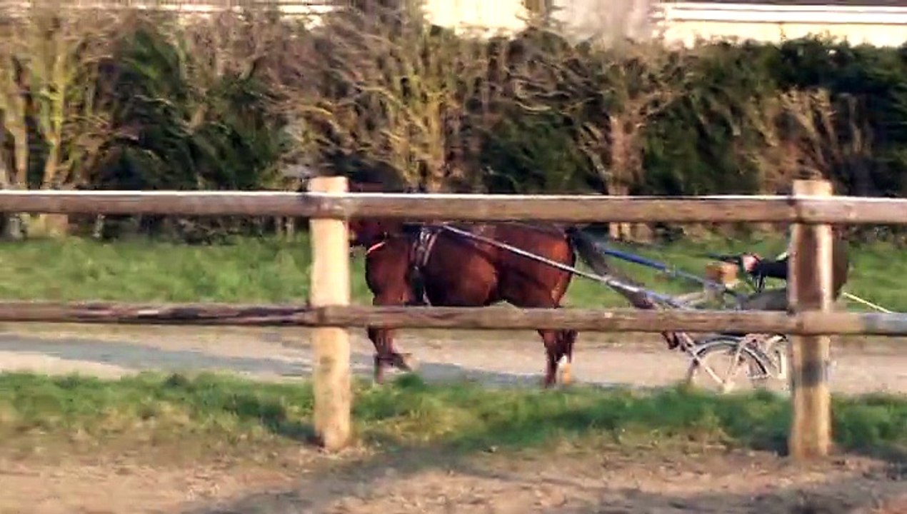 DOMAINE DE LA COUR A CARENTAN