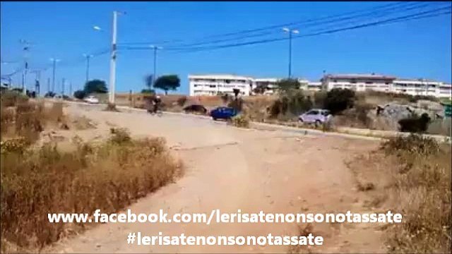 Perché il cane segue sempre il suo padrone.