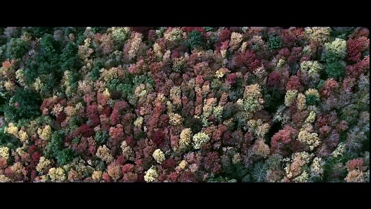 Backcountry  - trailer