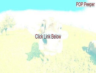 POP Peeper Free Download - Instant Download (2015)