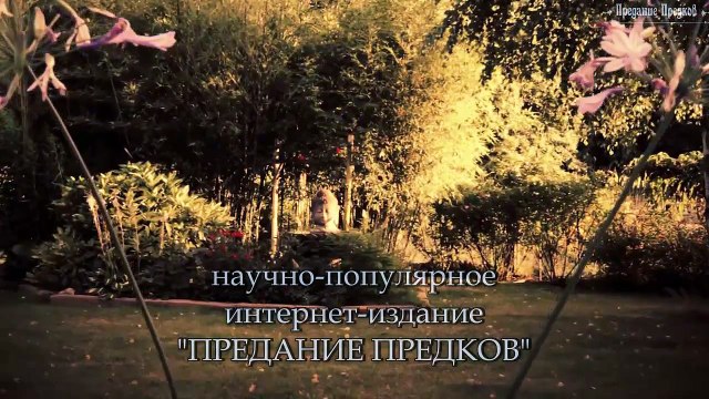 ПРЕМИЯ ВОСТОКА 2015г