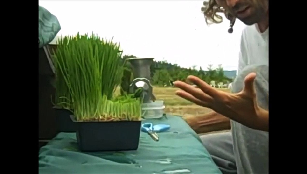 GPTR_Buğday çimi mucizevi süper besin-Buğday çimi suyu nasıl hazırlanır-WHEATGRASS, THE MIRACLE SUPERFOOD   How to Make Wheat Grass Juice !! ;-)