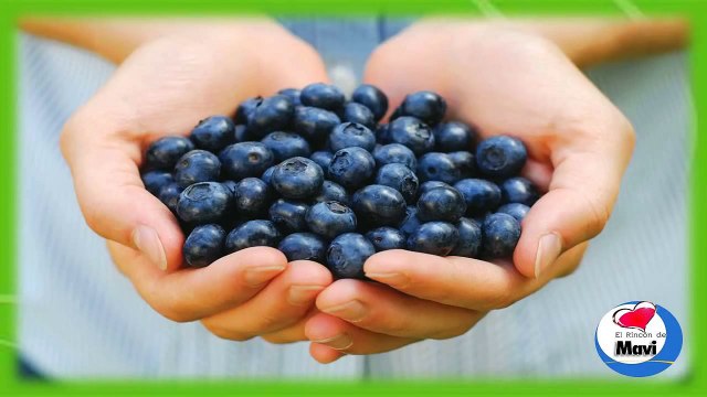 Propiedades y beneficios de los arandanos para la salud