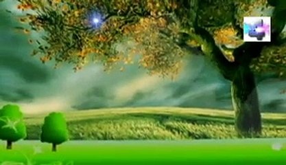 soñar con un barco anclado, significado de los sueños, español latino