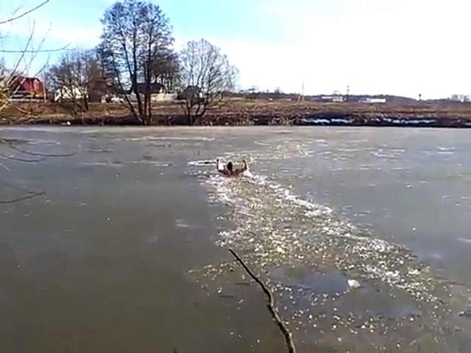 Il nage dans la glace pour sauver un chien