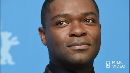 87th Oscars Preview By The Numbers