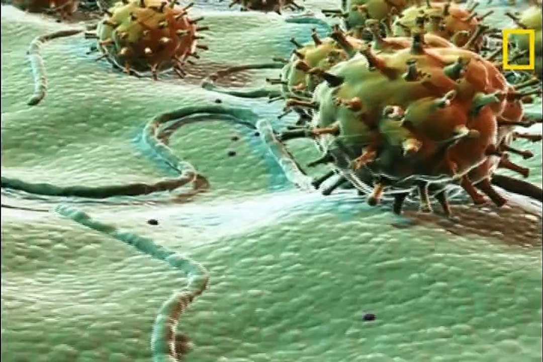 Os Maiores Desastres Naturais do mundo - National Geographic - HD