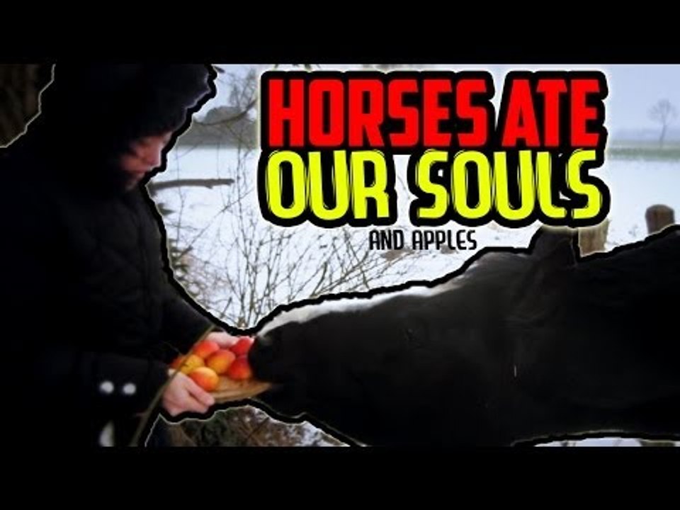 Horses Ate Our Souls and Apples | Get Germanized Vlogs | Episode 42