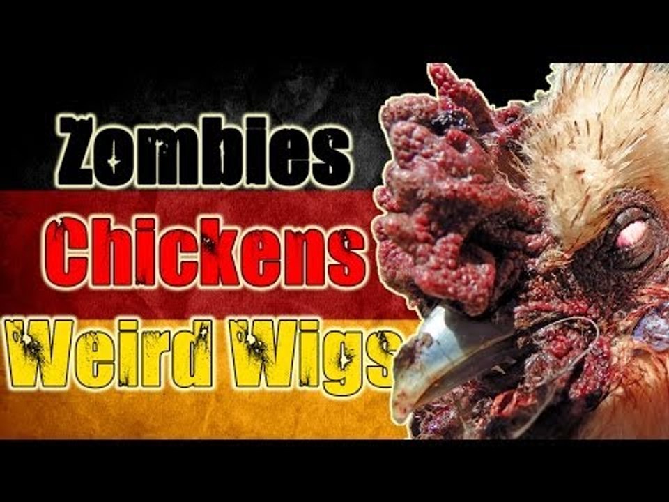 Zombies, Chickens and Weird Wigs | Get Germanized Vlogs | Episode 27