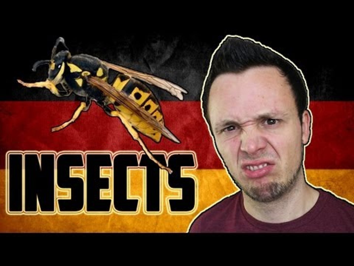 ⁣German Insects Vocabulary